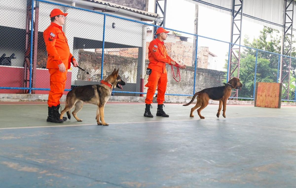 Bombeiros militares do Maranhão em treinamento de busca e resgate; imagem ilustrativa da matéria sobre a PMMA